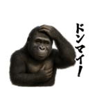 ゴリラのお誕生日＆ポジティブ（個別スタンプ：40）