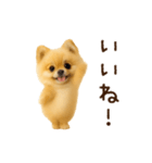 踊る！ポメラニアン（個別スタンプ：3）