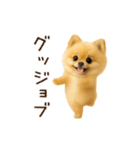 踊る！ポメラニアン（個別スタンプ：4）