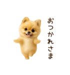 踊る！ポメラニアン（個別スタンプ：6）