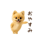 踊る！ポメラニアン（個別スタンプ：8）