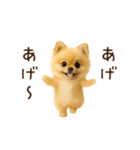 踊る！ポメラニアン（個別スタンプ：9）