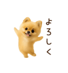 踊る！ポメラニアン（個別スタンプ：14）