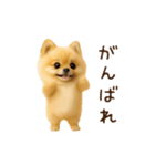 踊る！ポメラニアン（個別スタンプ：16）