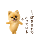 踊る！ポメラニアン（個別スタンプ：18）