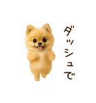 踊る！ポメラニアン（個別スタンプ：21）