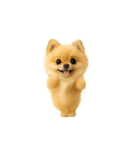 踊る！ポメラニアン（個別スタンプ：23）