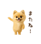 踊る！ポメラニアン（個別スタンプ：24）