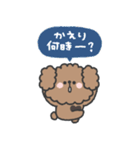 トイプードルさん◎家族恋人連絡 #1（個別スタンプ：1）