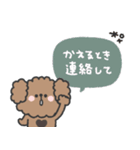 トイプードルさん◎家族恋人連絡 #1（個別スタンプ：5）