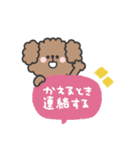 トイプードルさん◎家族恋人連絡 #1（個別スタンプ：6）