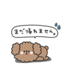 トイプードルさん◎家族恋人連絡 #1（個別スタンプ：7）