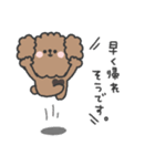 トイプードルさん◎家族恋人連絡 #1（個別スタンプ：11）