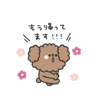 トイプードルさん◎家族恋人連絡 #1（個別スタンプ：12）
