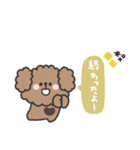 トイプードルさん◎家族恋人連絡 #1（個別スタンプ：14）