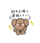 トイプードルさん◎家族恋人連絡 #1（個別スタンプ：15）
