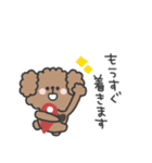 トイプードルさん◎家族恋人連絡 #1（個別スタンプ：19）