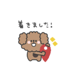 トイプードルさん◎家族恋人連絡 #1（個別スタンプ：20）