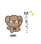 トイプードルさん◎家族恋人連絡 #1（個別スタンプ：24）