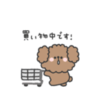 トイプードルさん◎家族恋人連絡 #1（個別スタンプ：28）