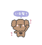 トイプードルさん◎家族恋人連絡 #1（個別スタンプ：37）