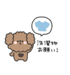 トイプードルさん◎家族恋人連絡 #1（個別スタンプ：40）