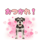 ミニチュアシュナの毎日ことば（個別スタンプ：6）