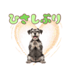 ミニチュアシュナの毎日ことば（個別スタンプ：7）