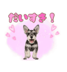 ミニチュアシュナの毎日ことば（個別スタンプ：18）