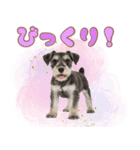 ミニチュアシュナの毎日ことば（個別スタンプ：25）