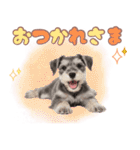 ミニチュアシュナの毎日ことば（個別スタンプ：26）