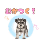 ミニチュアシュナの毎日ことば（個別スタンプ：28）