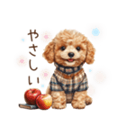 ほめて癒すトイプードル♡（個別スタンプ：9）