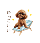 ほめて癒すトイプードル♡（個別スタンプ：12）