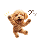 ほめて癒すトイプードル♡（個別スタンプ：16）