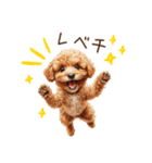 ほめて癒すトイプードル♡（個別スタンプ：22）