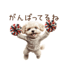 ほめて癒すトイプードル♡（個別スタンプ：27）