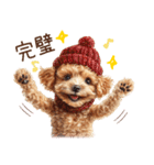 ほめて癒すトイプードル♡（個別スタンプ：33）