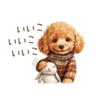 ほめて癒すトイプードル♡（個別スタンプ：35）