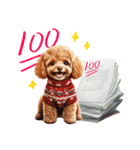 ほめて癒すトイプードル♡（個別スタンプ：37）