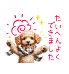 ほめて癒すトイプードル♡（個別スタンプ：38）
