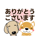 すべての犬にいっぱいの愛が届きますように（個別スタンプ：3）