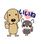 すべての犬にいっぱいの愛が届きますように（個別スタンプ：4）