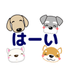 すべての犬にいっぱいの愛が届きますように（個別スタンプ：5）