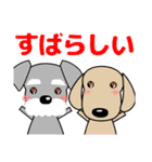 すべての犬にいっぱいの愛が届きますように（個別スタンプ：10）