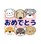 すべての犬にいっぱいの愛が届きますように（個別スタンプ：39）