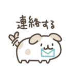 もっちりゆるいぬ～家族連絡用（個別スタンプ：13）