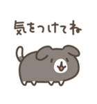 もっちりゆるいぬ～家族連絡用（個別スタンプ：24）