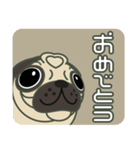 パグラヴクラブ2（個別スタンプ：20）