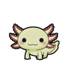 ウーパくん 育成2 ゴールデン（個別スタンプ：1）